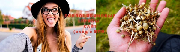 ECSTASY Ахтубинск