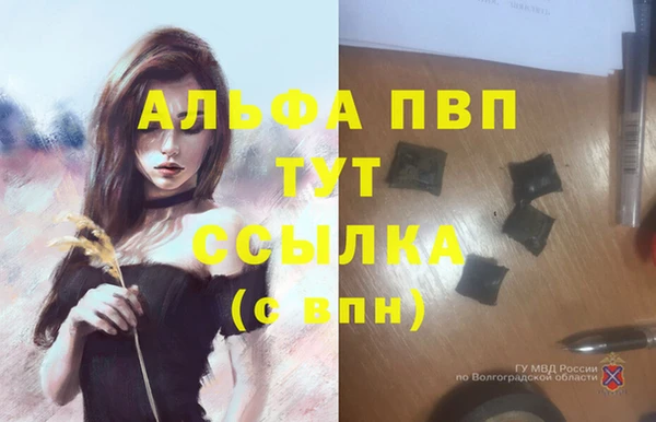 ECSTASY Ахтубинск