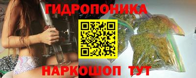 мдпв Гусь-Хрустальный
