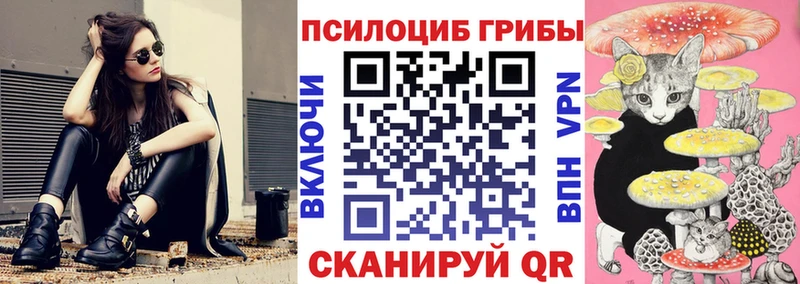 Псилоцибиновые грибы Cubensis  Заволжье 