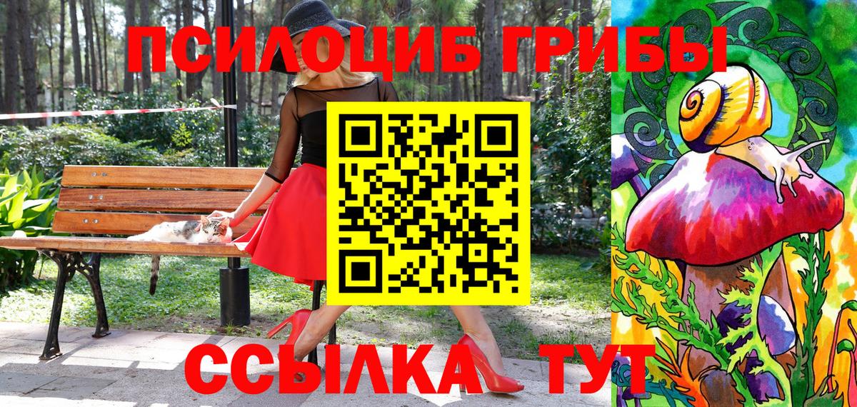 Галлюциногенные грибы Cubensis  Вход с VPN  Заволжье 