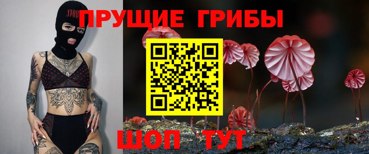 Псилоцибиновые грибы мухоморы Заволжье